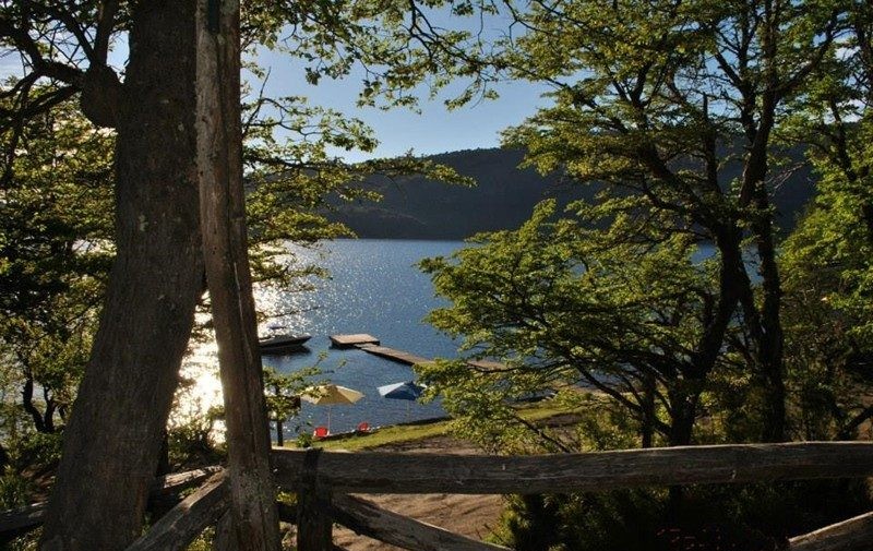 Vista del lago Moquehue entre los árboles